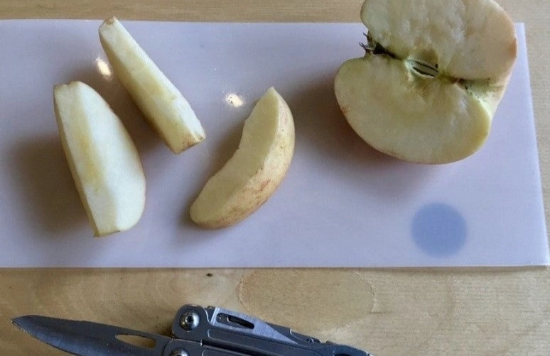Camp Cutting Board